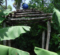 Recycled tree trunks used as a garden structure